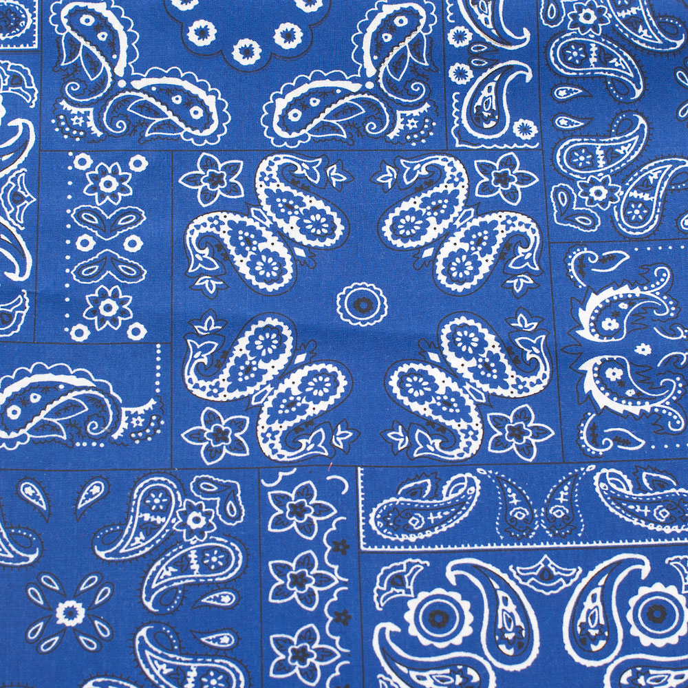 Blue Paisley