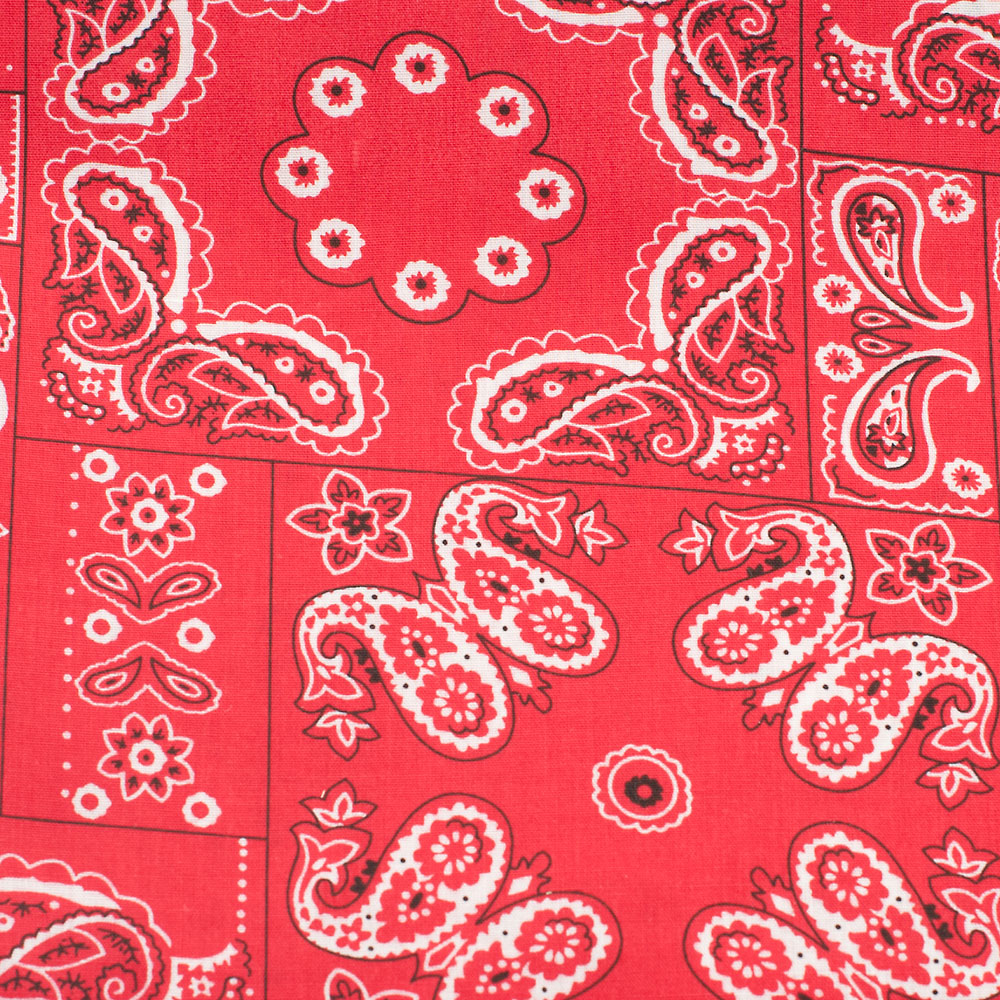 Red Paisley