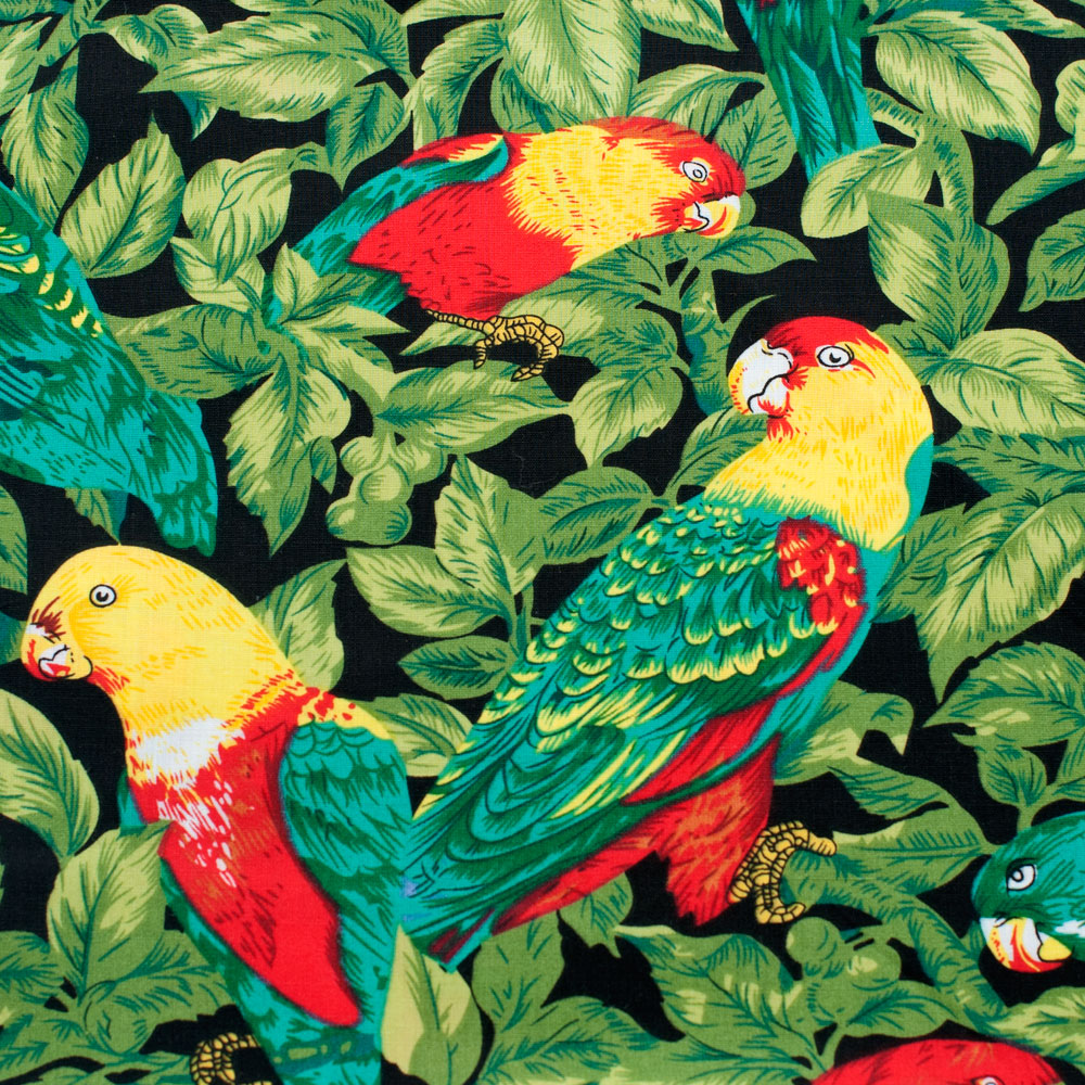Parrots