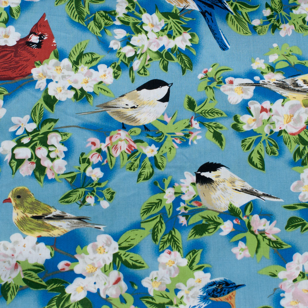 Blue Birds